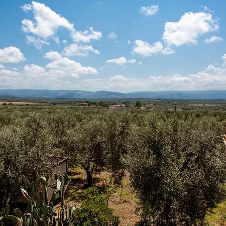Il Giardino