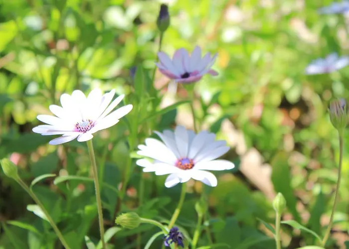 Il Giardino Hotel Foce Varano