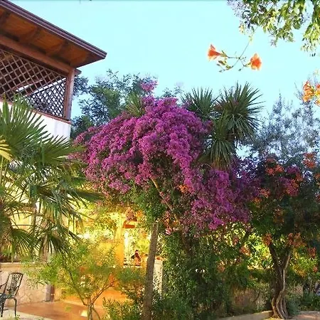 Il Giardino 3*