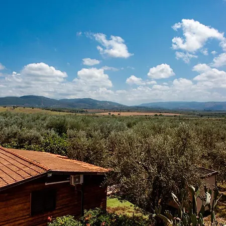 Il Giardino